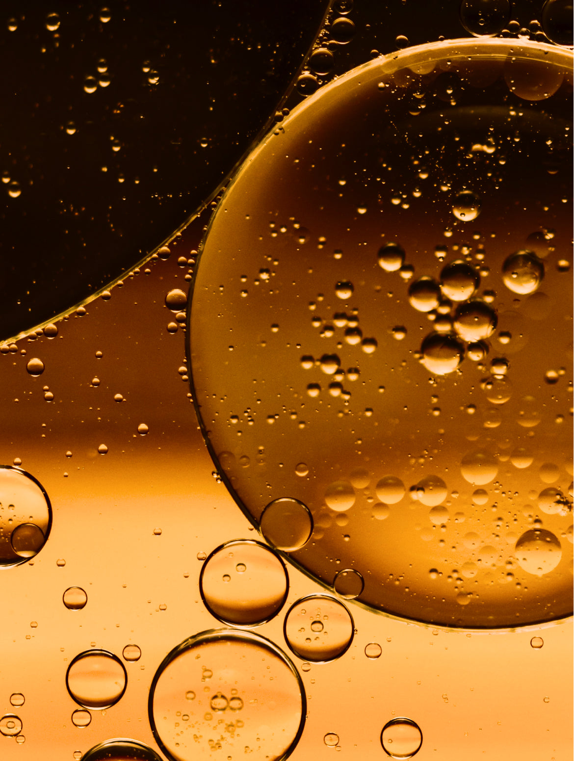 Macro of golden botanical oil droplets