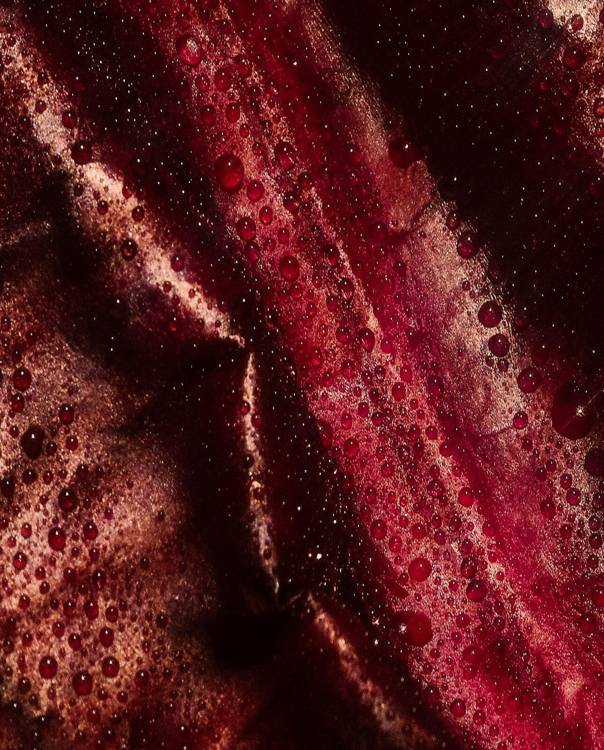 Anti-Age Day Cream — VOOSHI